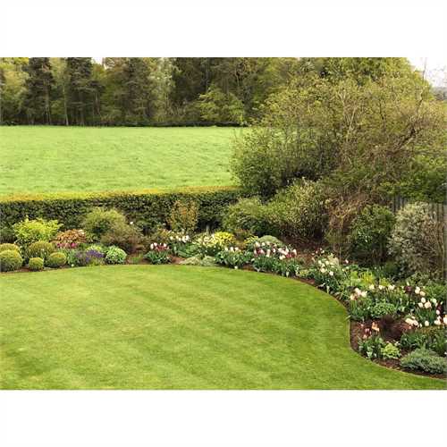 Apollo 10m Smartedge Flexible Lawn Edging Inc Fixing Clips- Black - H14cm
