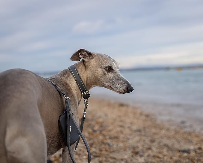 Project Blu - Recycled Leather Sustainable Dog Lead - 110cm Long, Malibu Grey