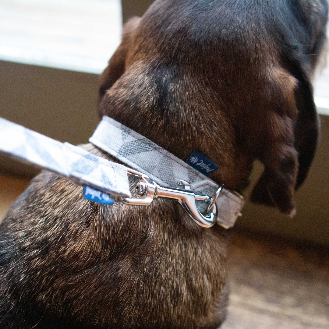 Project Blu - Eco-Friendly Goa Dog Collar- 36-40.5 cm Length, Grey Chevron