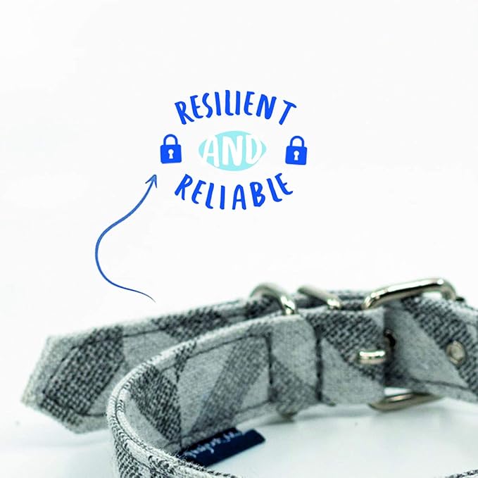 Project Blu - Eco-Friendly Goa Dog Collar- 36-40.5 cm Length, Grey Chevron