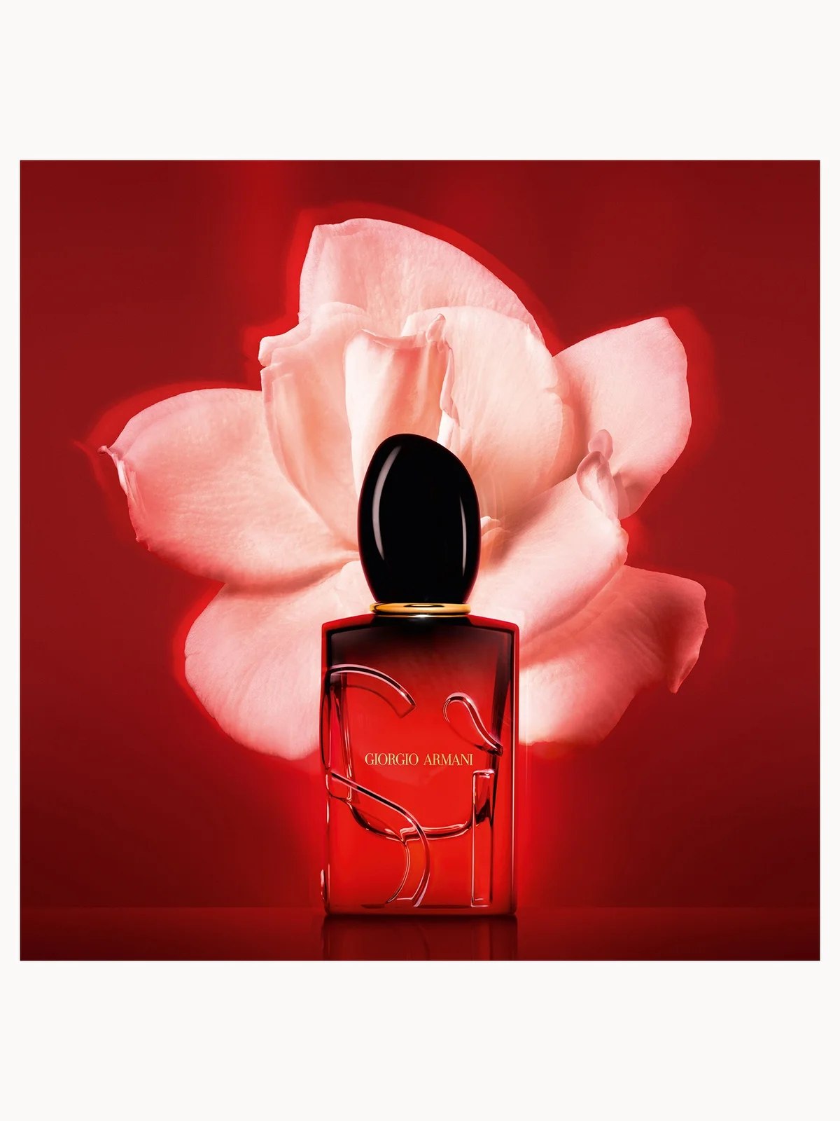 Red Giorgio Armani perfume bottle with a pink flower on a red background