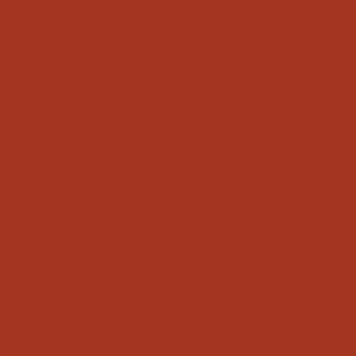 A solid, uniform square of warm reddish-brown color with no texture, pattern, or gradient.
