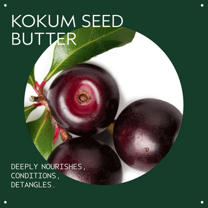 Kokum seed butter with kokum berries and leaves on a green background