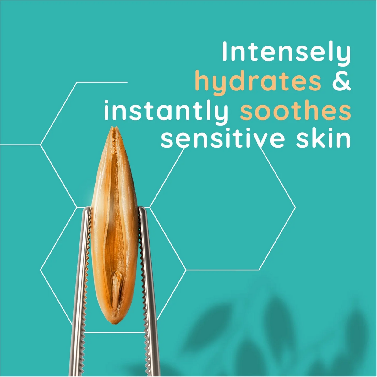 A teal promotional graphic with white and orange text reading 'Intensely hydrates & instantly soothes sensitive skin' above a close-up of a small brown seed held in metal tweezers.