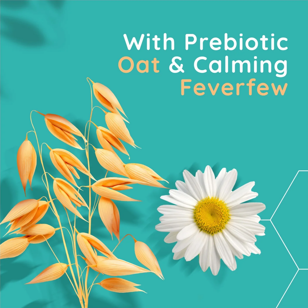 A square product graphic with a teal background featuring the text 'With Prebiotic Oat & Calming Feverfew' alongside illustrated oat stalks and a white daisy flower.