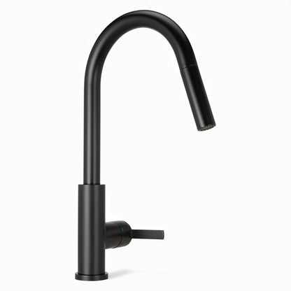Black Designer Kitchen Tap Mizzo Trigo With Spray – Brush Function