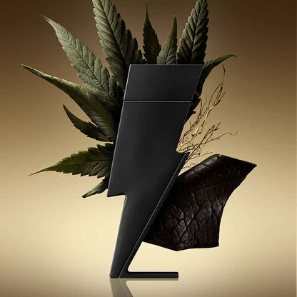 Black abstract thunder shaped bottle of Carolina Herrera Bad Boy Eau de Parfum 50ml with leaves on a beige background