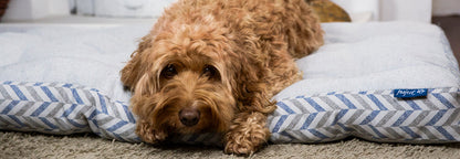 Project Blu - Bengal - Eco Dog Bed (Mattress) - Medium | 70x50cm