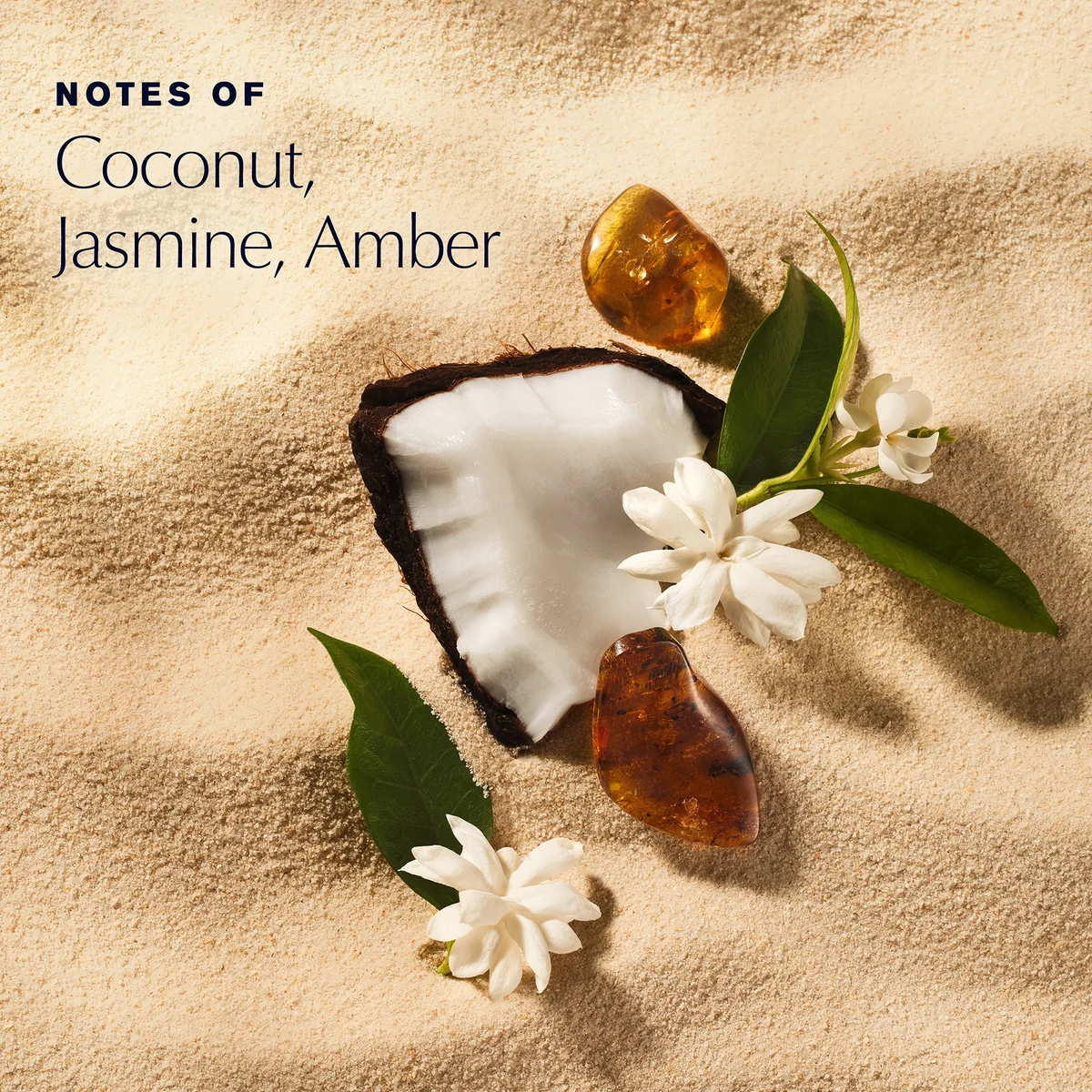 Coconut shell, amber pieces, and white flowers on a beige background with text 'Notes of Coconut, Jasmine, Amber'.