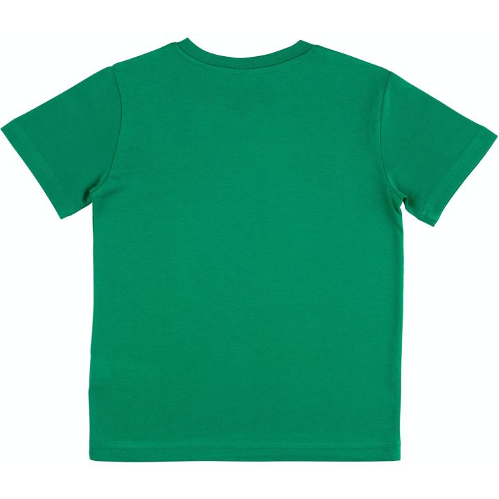 Earth Positive - Kids Organic Cotton T-Shirt - Plain Kelly Green, Unisex