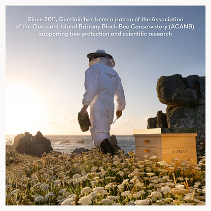 Person in beekeeping suit standing in a field with flowers and rocks, with text about Guerlain's support for bee conservation.