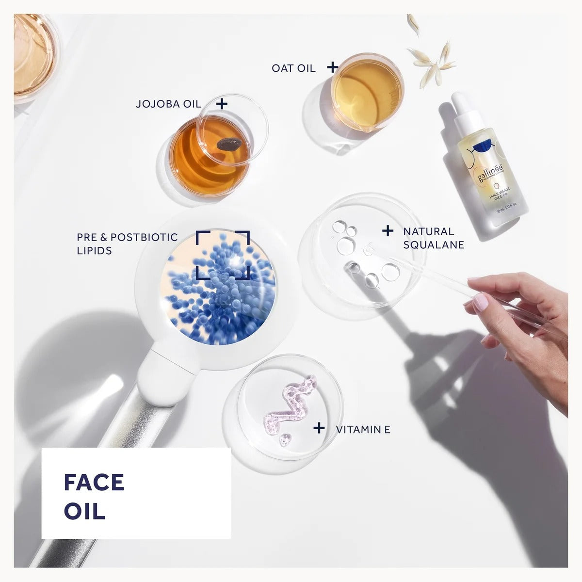 Gallinee-Prebiotic-Face-Oil- with dropper and ingredients labeled on a white background