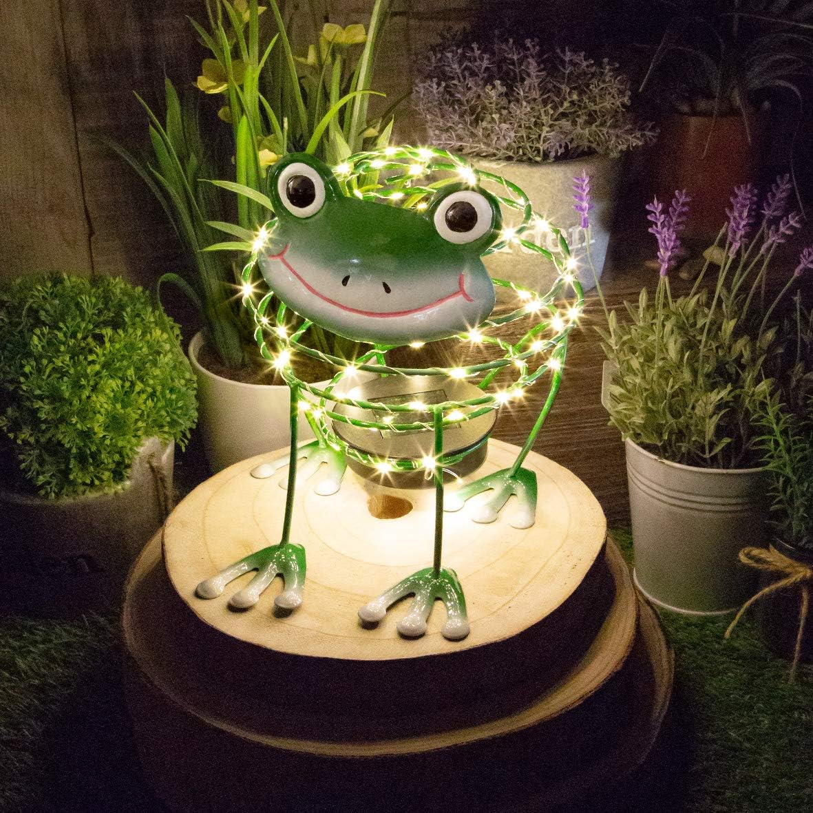 GardenKraft 62 LED Light Frog Solar Wire Ornament