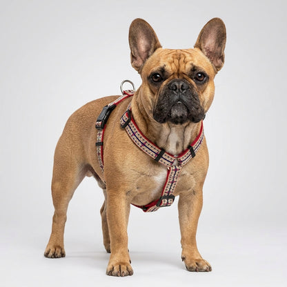 HUNTER Ecco Sport Prince Vario Rapid - Adjustable Dog Harness in Red - Small