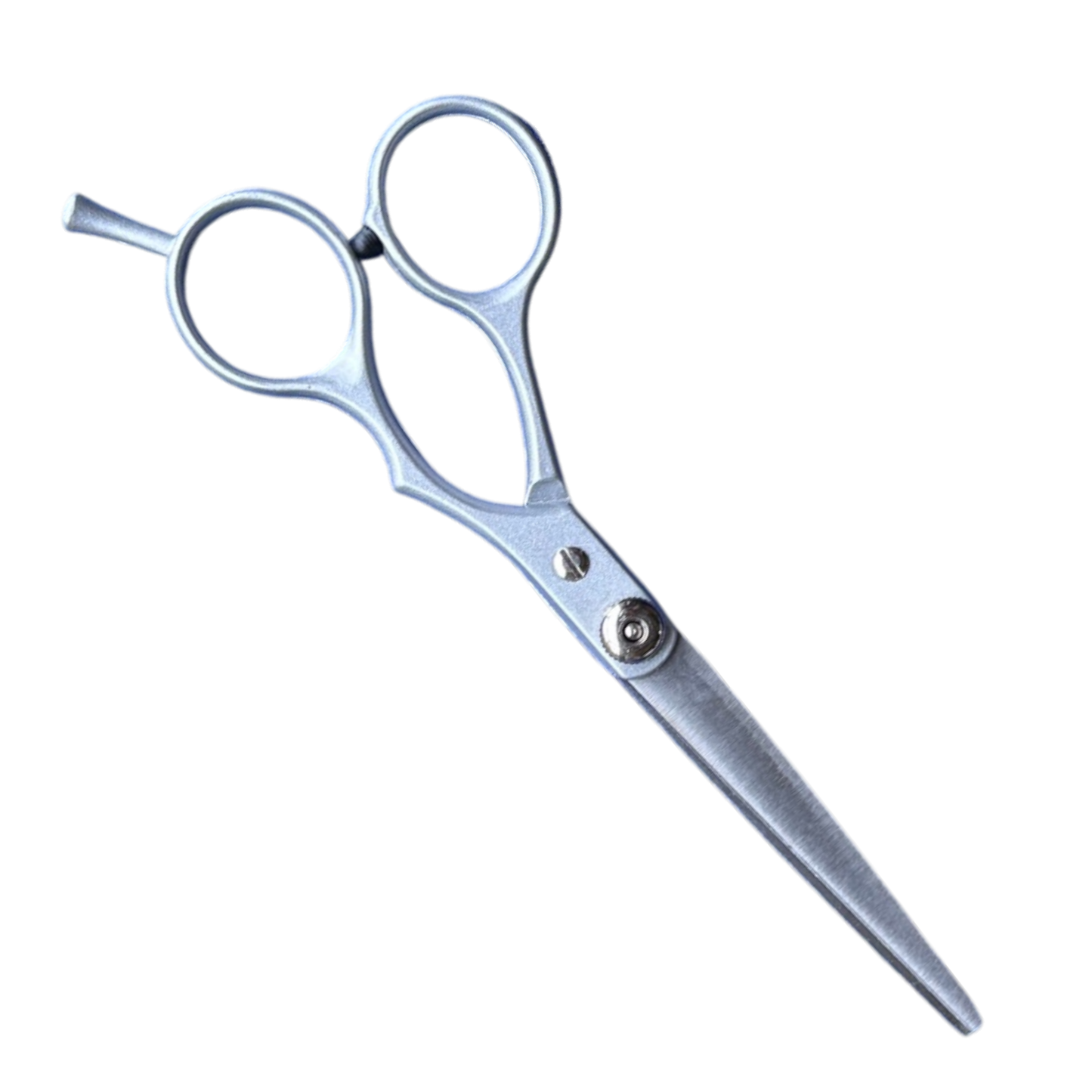 6” Professional Hairdressing Scissor Kit Set – Precision Cutting & Thinning Shears with Leather-Effect Storage Wallet