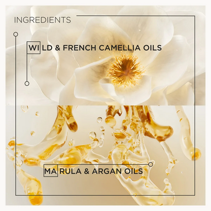 A square graphic with text reading 'INGREDIENTS' and 'WILD & FRENCH CAMELLIA OILS / MA RULA & ARGAN OILS' over a close-up photo of a white camellia flower and golden oil droplets.