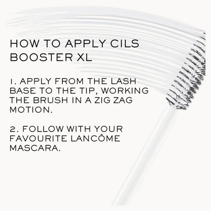 Instructional graphic showing a clear cosmetic brush with black bristles and text that reads 'HOW TO APPLY CILS BOOSTER XL' with two application steps.