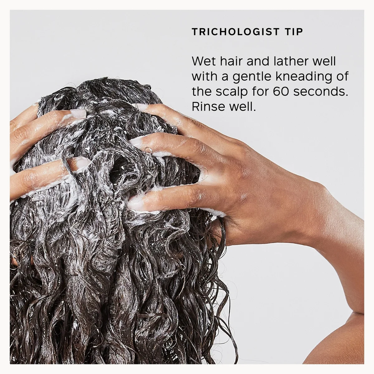 A close-up of a person's hands washing dark curly hair with shampoo lather, with text reading 'TRICHOLOGIST TIP' and instructions on how to wet and knead the hair. The image is presented on a white background with a gray inset panel.