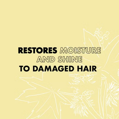 Shea Moisture Jamaican Black Castor Oil Strengthen & Restore Treatment Masque 355ml