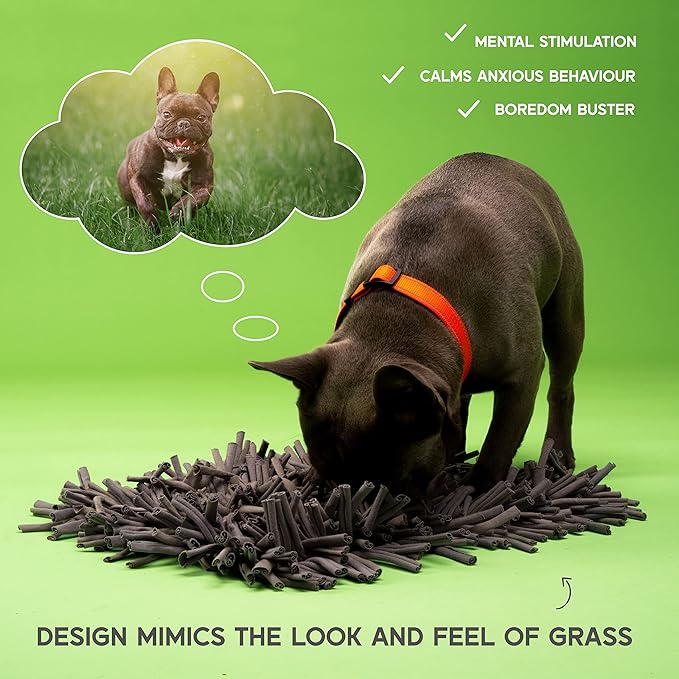 Paw 5 Snuffle Mat for Dogs (30 x 45cm) - Calming, Anti-Boredom & Anxiety Relief