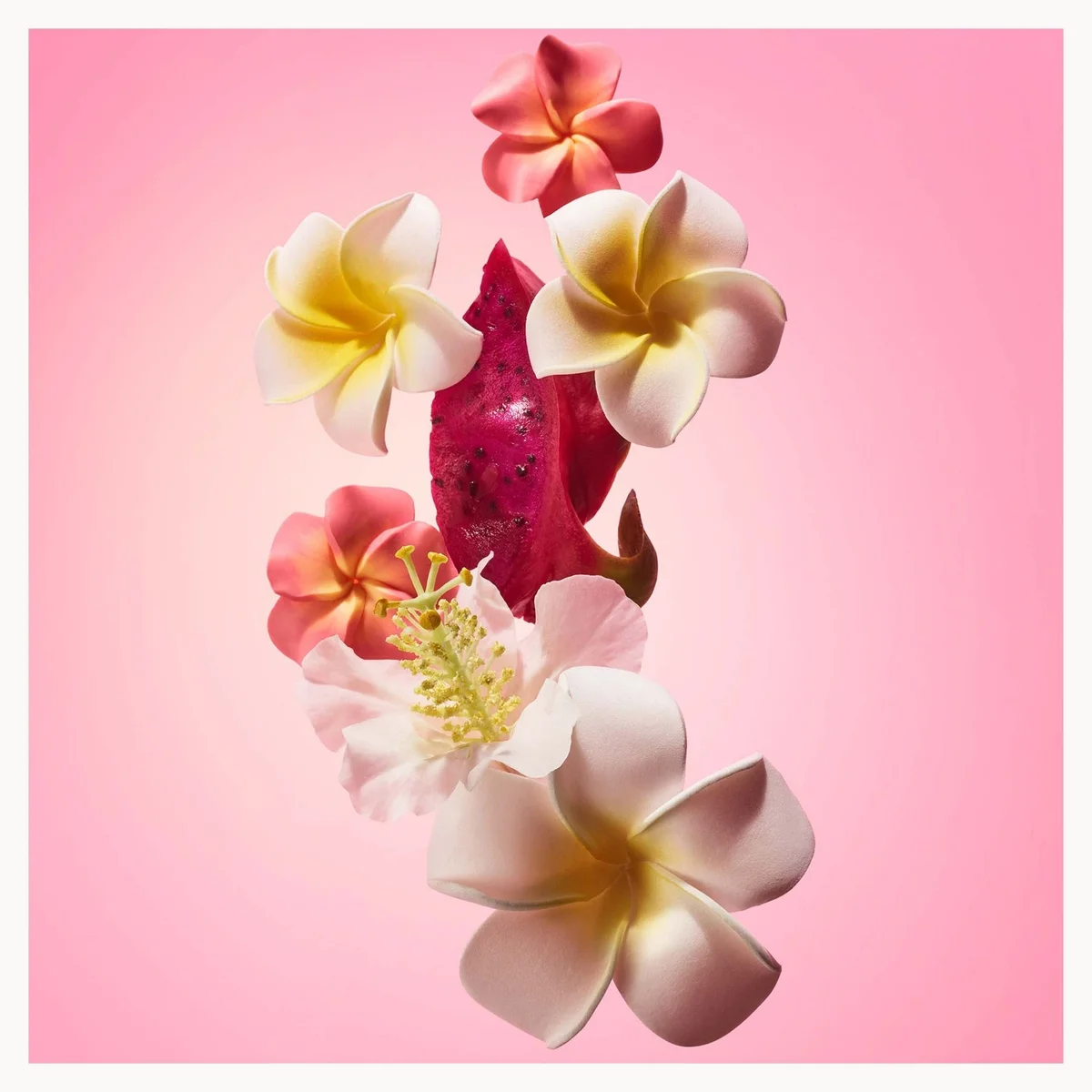 Colorful flowers on a pink background
