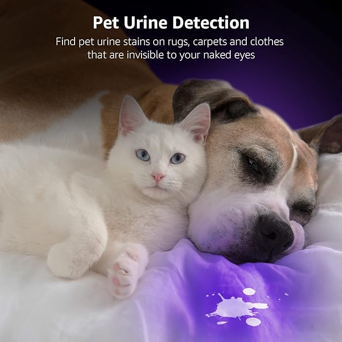 UV Torch, 9 LED 395nm Ultraviolet Flashlight, Blacklight Detector for Pet Urine, Stain, Bed Bugs and More