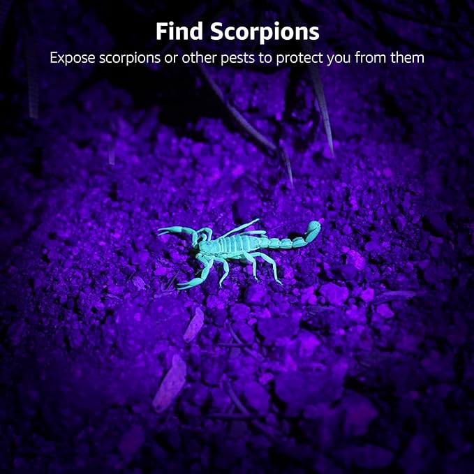 UV Torch, 9 LED 395nm Ultraviolet Flashlight, Blacklight Detector for Pet Urine, Stain, Bed Bugs and More