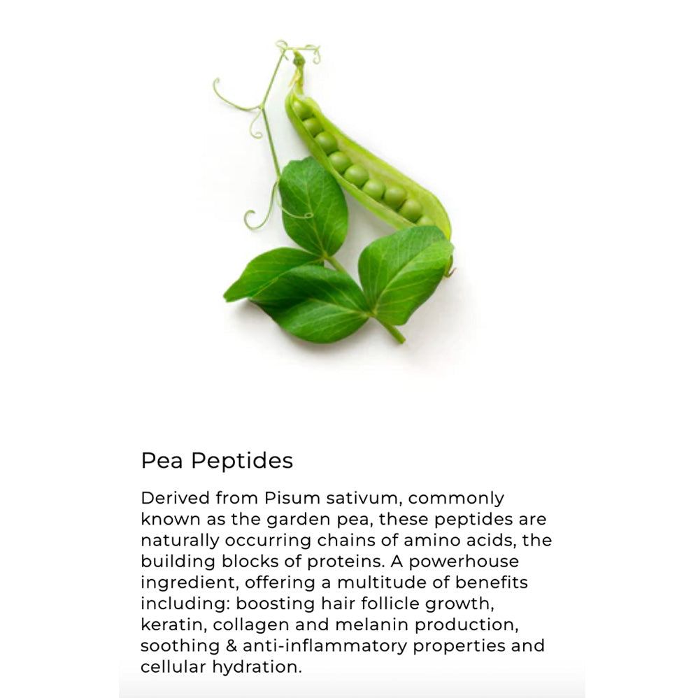Green peas with leaves on a white background, featuring text about pea peptides.