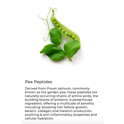 Green peas with leaves on a white background, featuring text about pea peptides.