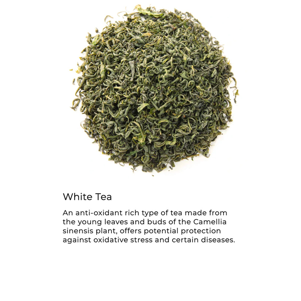 White tea leaves on a white background with text about white tea.